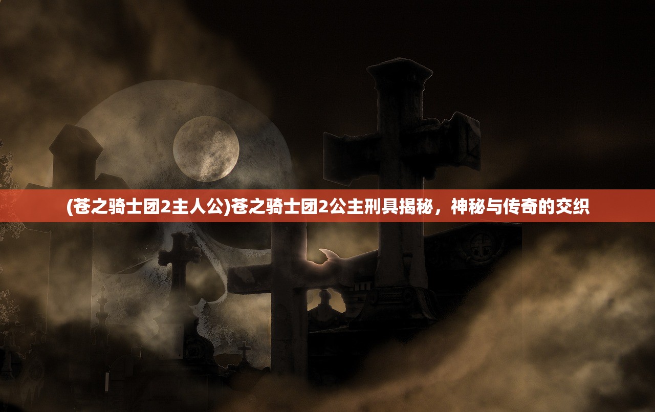 (苍之骑士团2主人公)苍之骑士团2公主刑具揭秘，神秘与传奇的交织