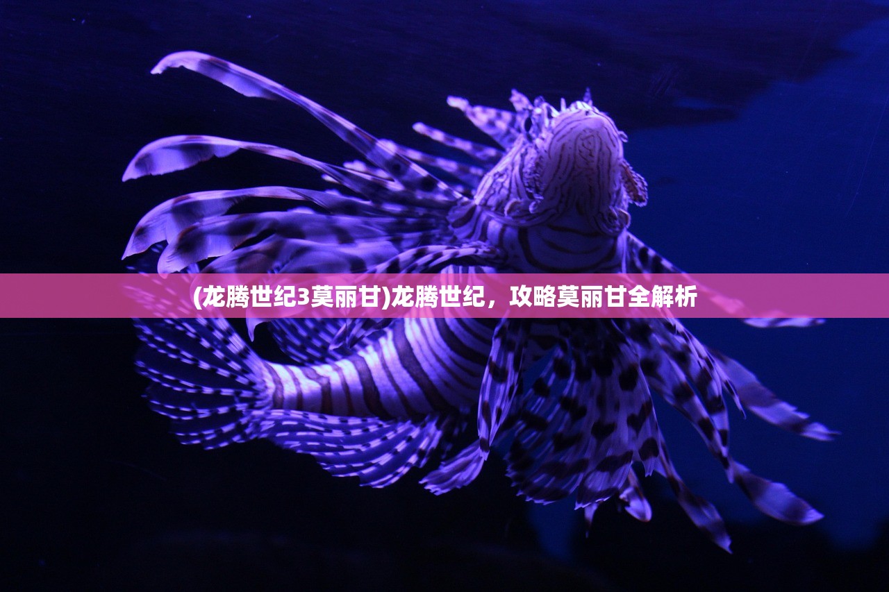 (龙腾世纪3莫丽甘)龙腾世纪，攻略莫丽甘全解析