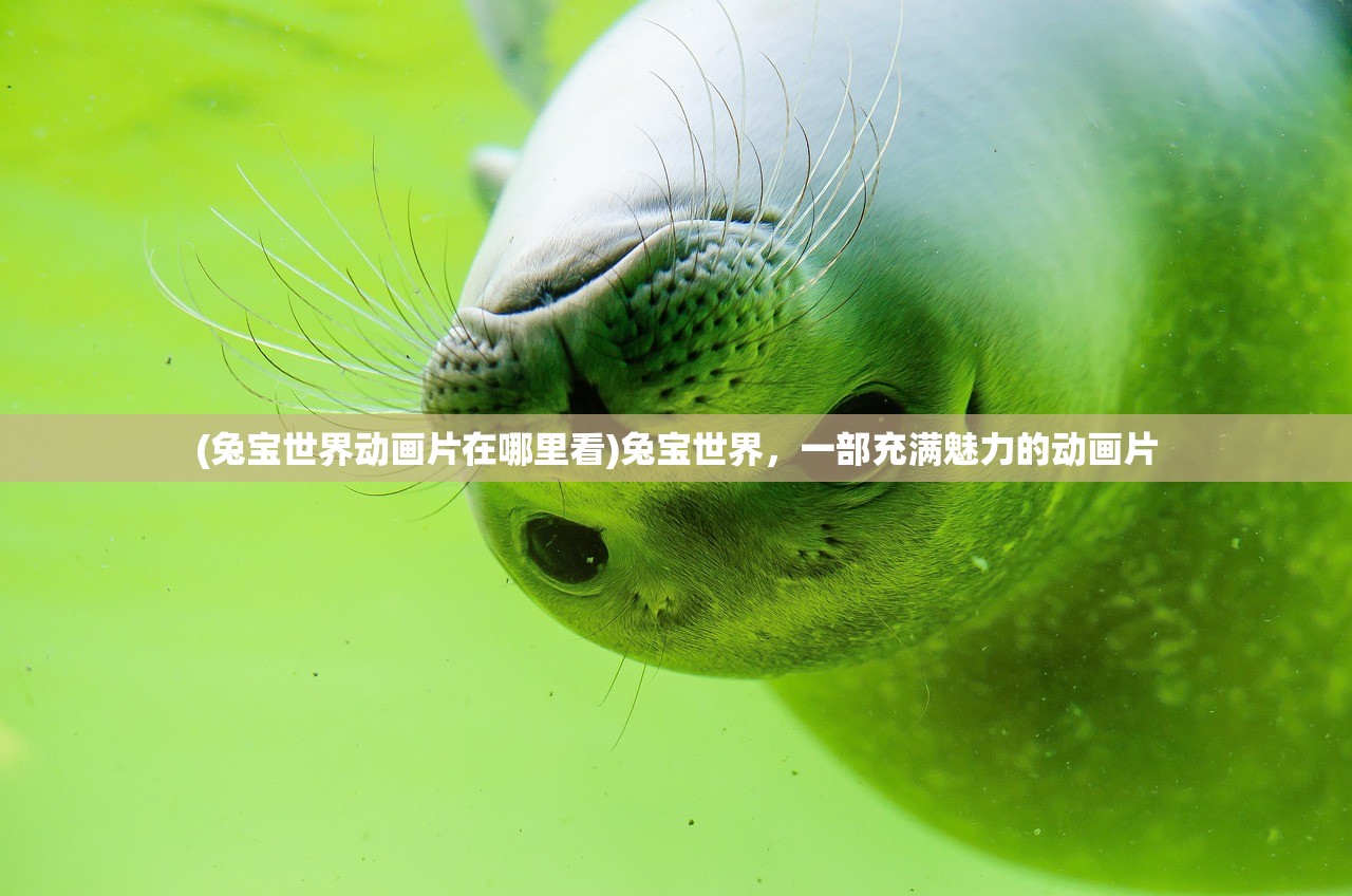 (兔宝世界动画片在哪里看)兔宝世界，一部充满魅力的动画片