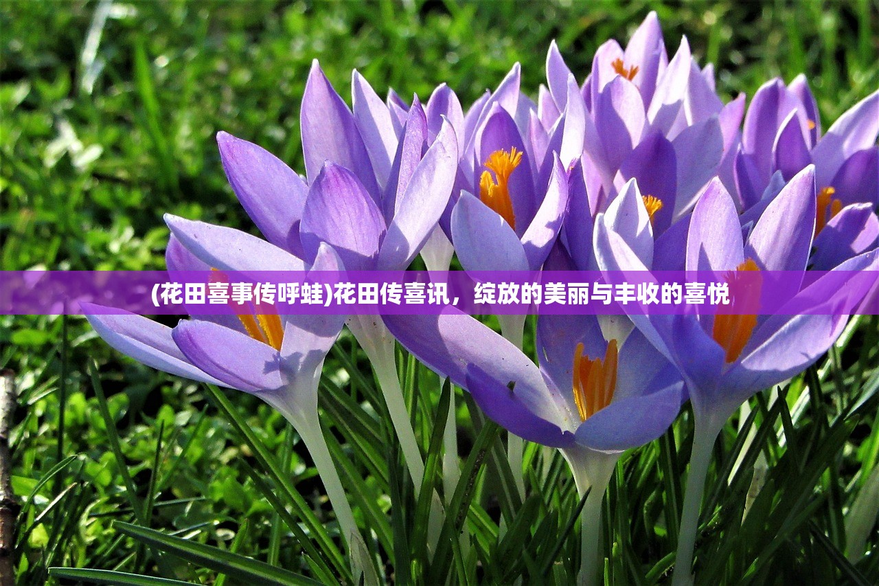 (花田喜事传呼蛙)花田传喜讯，绽放的美丽与丰收的喜悦