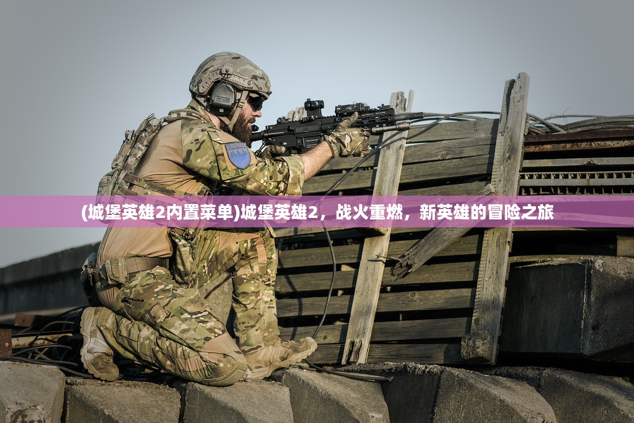 (城堡英雄2内置菜单)城堡英雄2，战火重燃，新英雄的冒险之旅