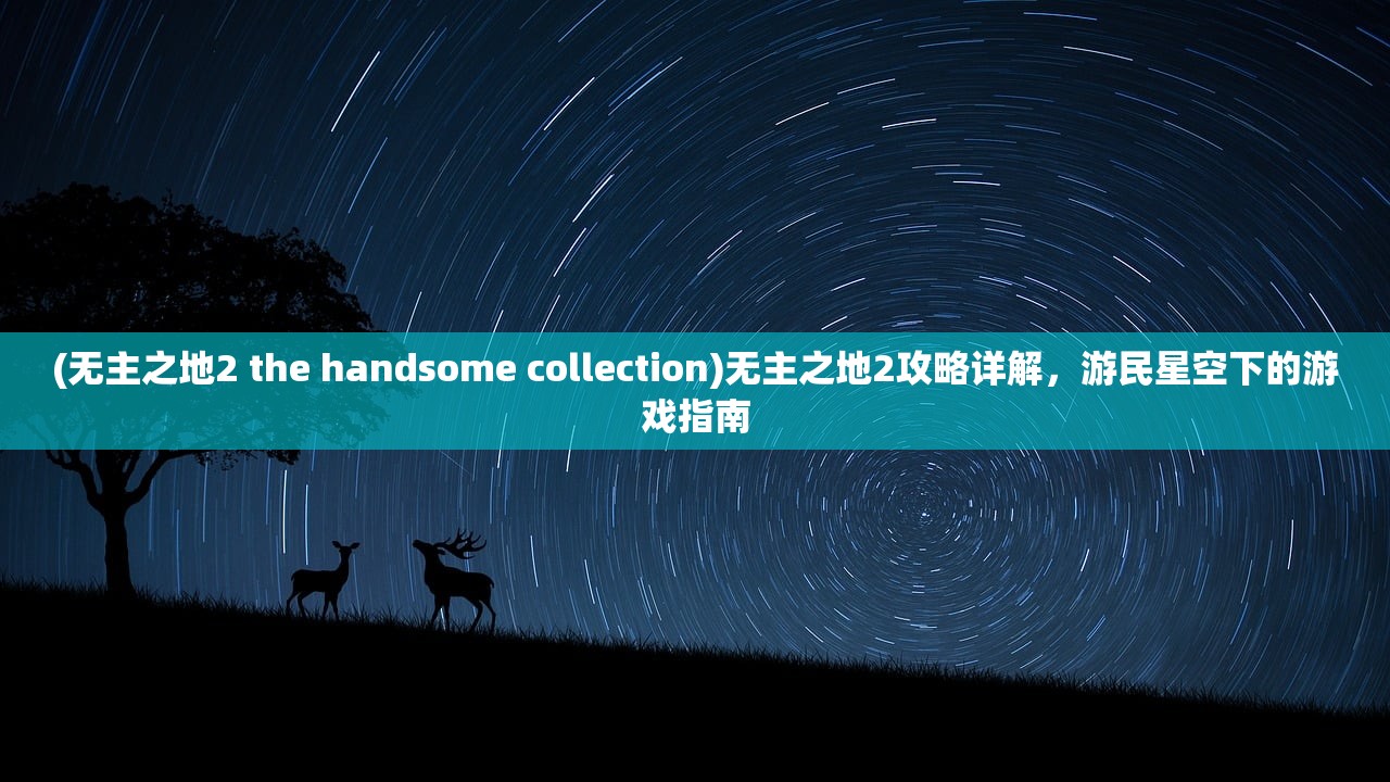(无主之地2 the handsome collection)无主之地2攻略详解，游民星空下的游戏指南