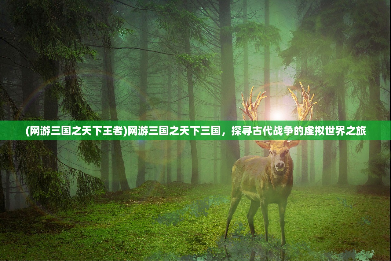 (网游三国之天下王者)网游三国之天下三国，探寻古代战争的虚拟世界之旅