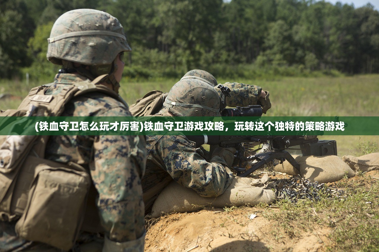 (铁血守卫怎么玩才厉害)铁血守卫游戏攻略，玩转这个独特的策略游戏