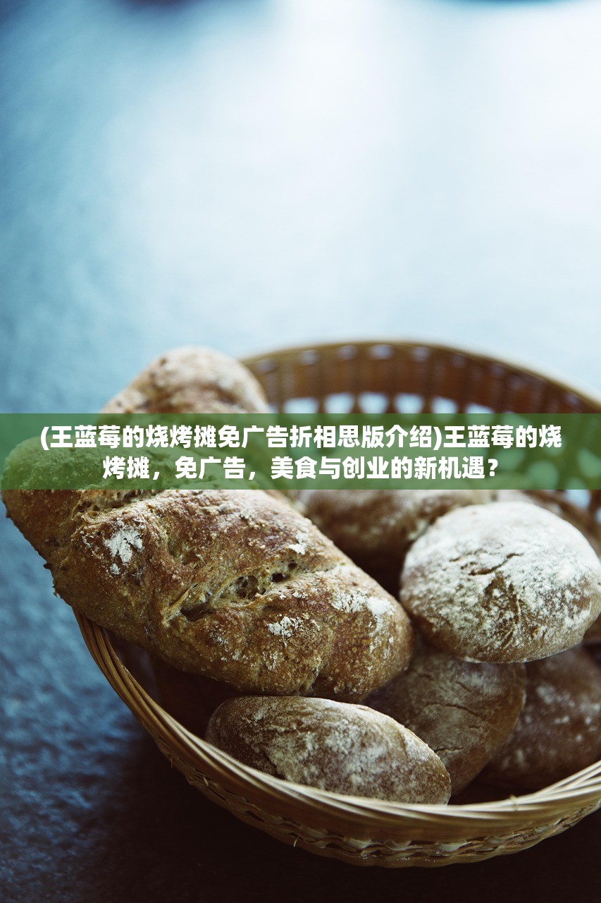 (王蓝莓的烧烤摊免广告折相思版介绍)王蓝莓的烧烤摊，免广告，美食与创业的新机遇？