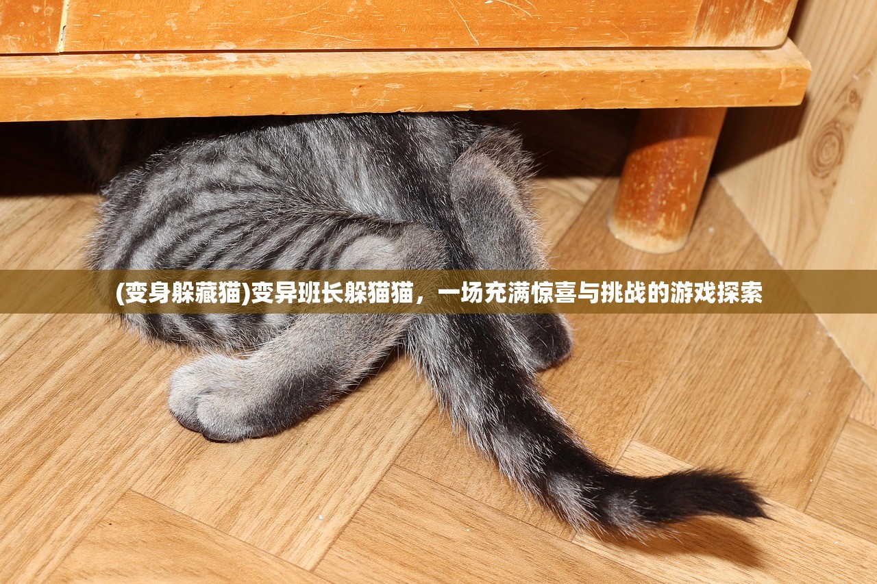 (变身躲藏猫)变异班长躲猫猫，一场充满惊喜与挑战的游戏探索