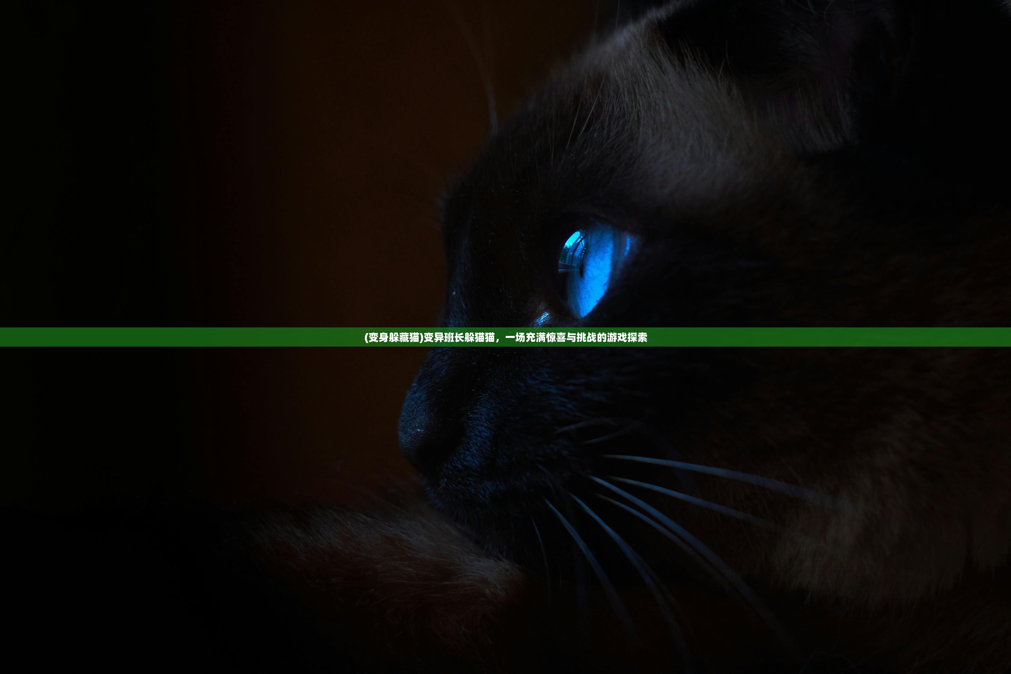 (变身躲藏猫)变异班长躲猫猫，一场充满惊喜与挑战的游戏探索