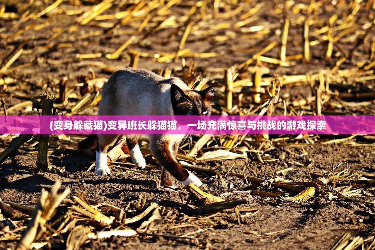 (变身躲藏猫)变异班长躲猫猫，一场充满惊喜与挑战的游戏探索