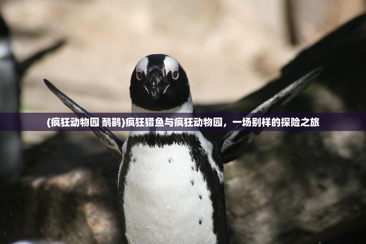 (疯狂动物园 鸸鹋)疯狂猎鱼与疯狂动物园，一场别样的探险之旅
