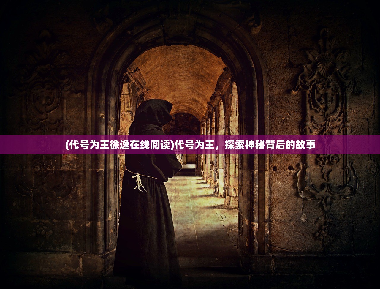 (代号为王徐逸在线阅读)代号为王，探索神秘背后的故事