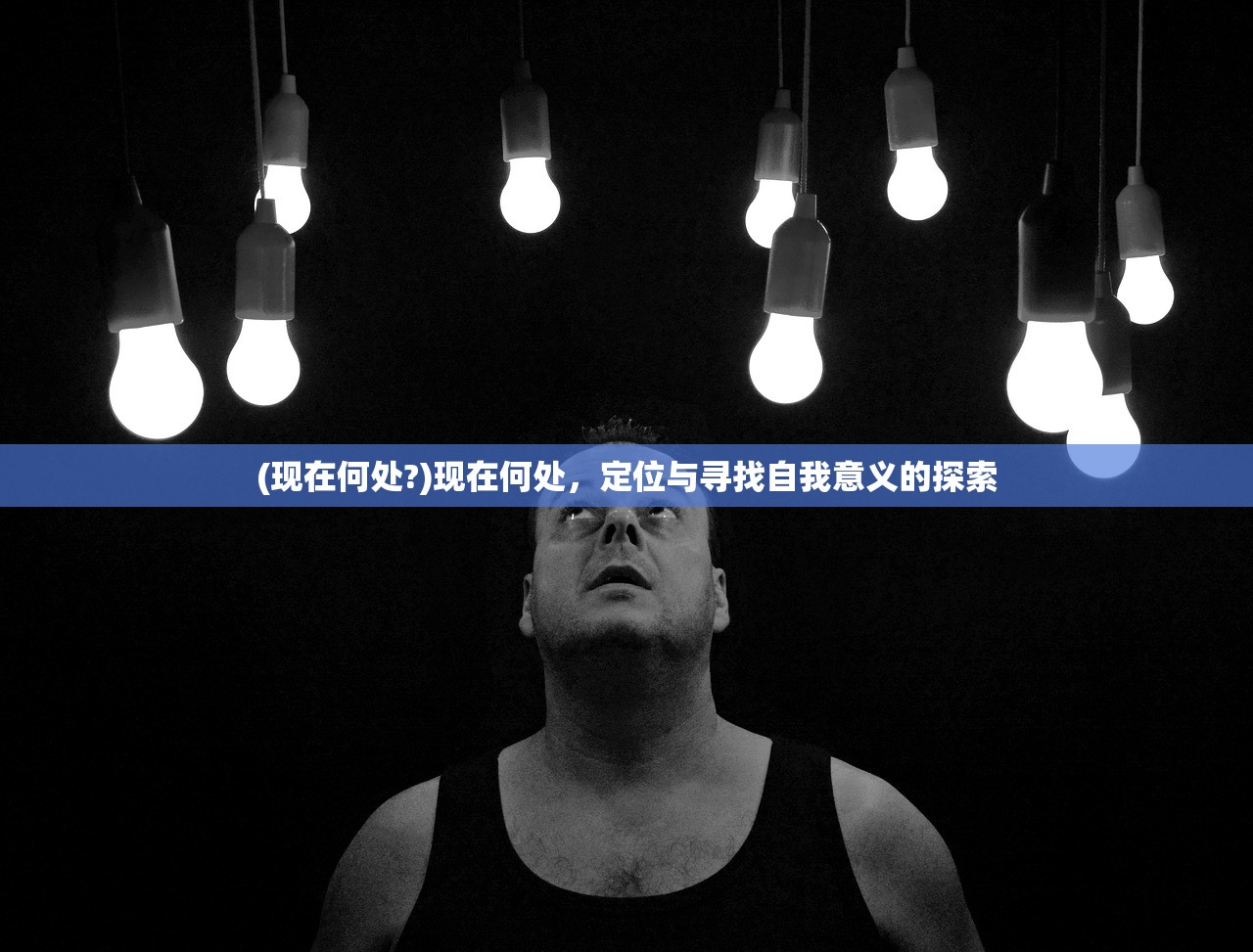 (现在何处?)现在何处，定位与寻找自我意义的探索