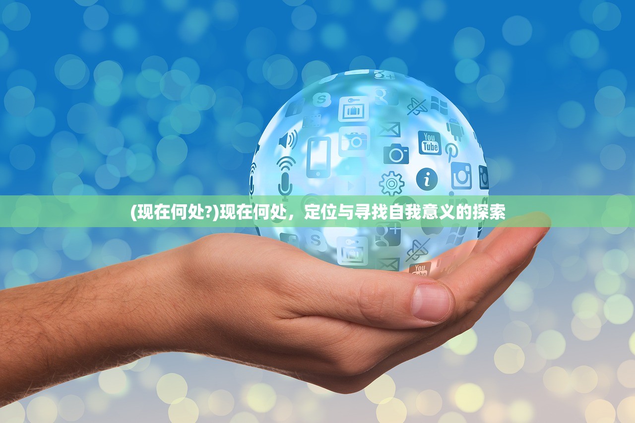 (现在何处?)现在何处，定位与寻找自我意义的探索