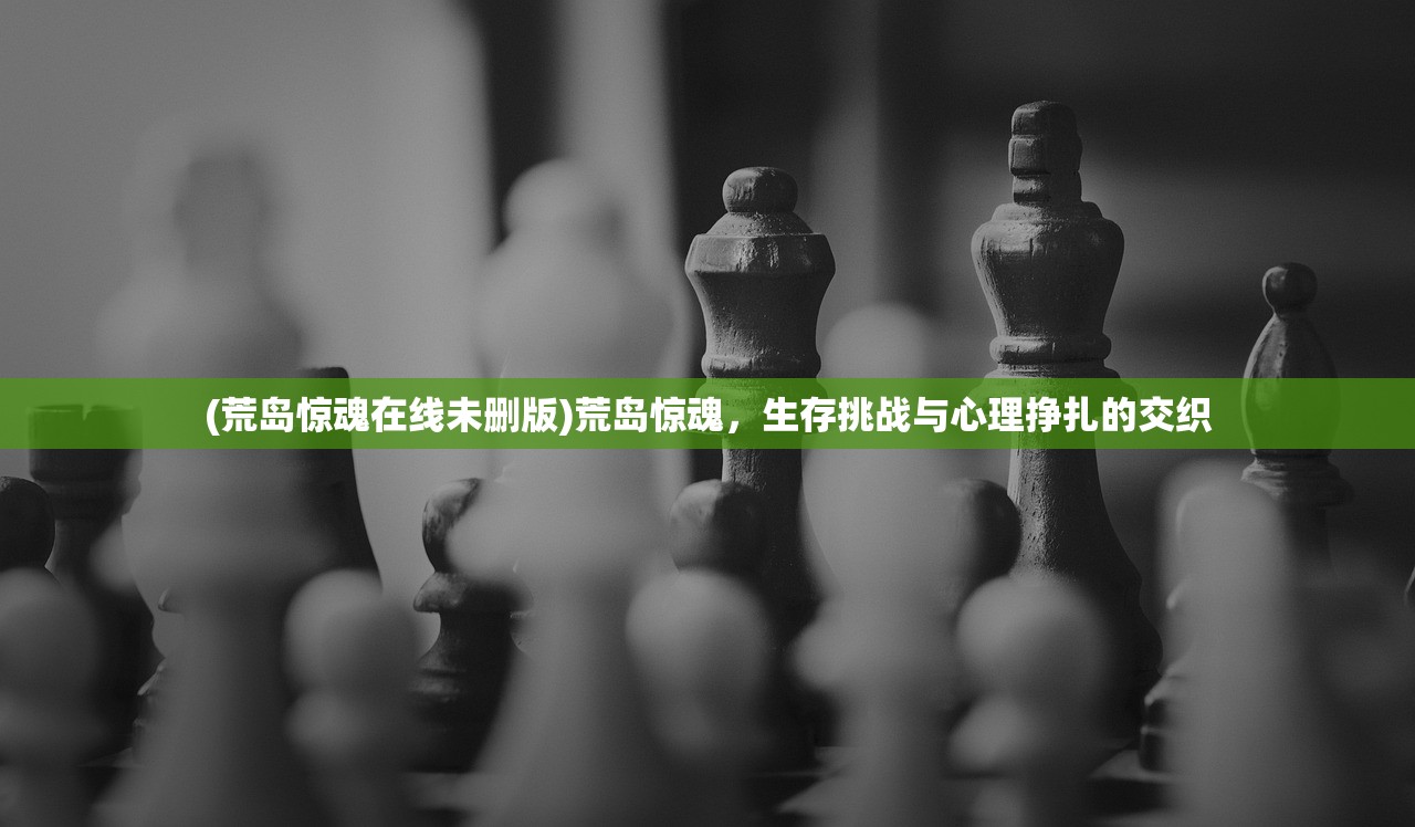 (荒岛惊魂在线未删版)荒岛惊魂，生存挑战与心理挣扎的交织