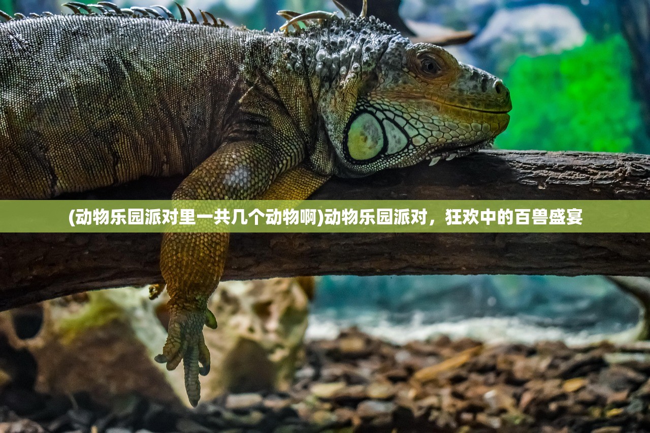(动物乐园派对里一共几个动物啊)动物乐园派对，狂欢中的百兽盛宴
