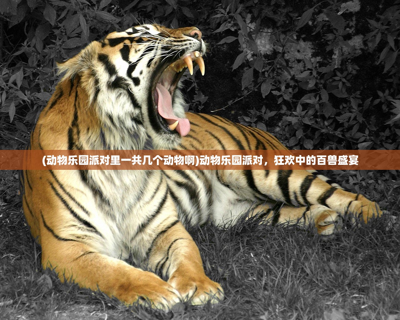 (动物乐园派对里一共几个动物啊)动物乐园派对，狂欢中的百兽盛宴