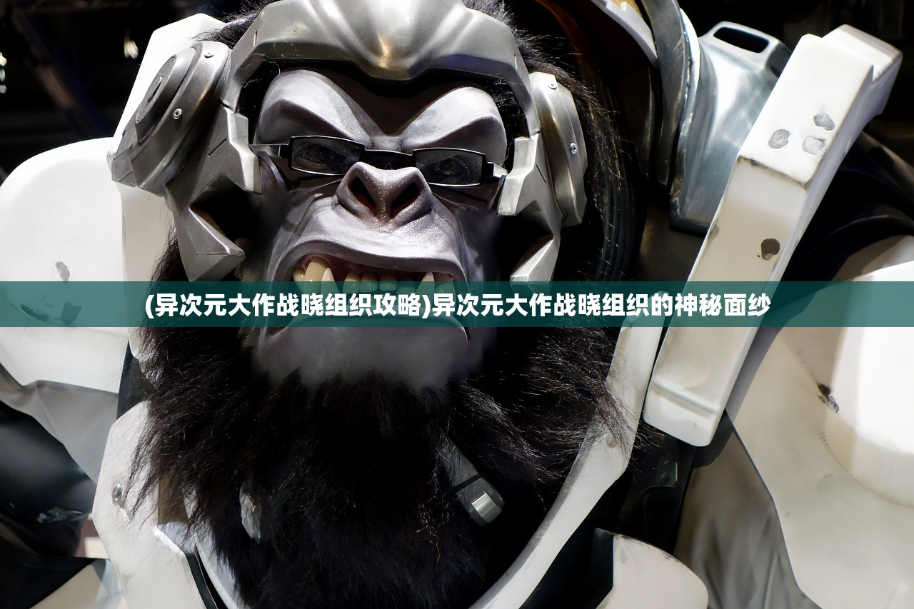 (异次元大作战晓组织攻略)异次元大作战晓组织的神秘面纱