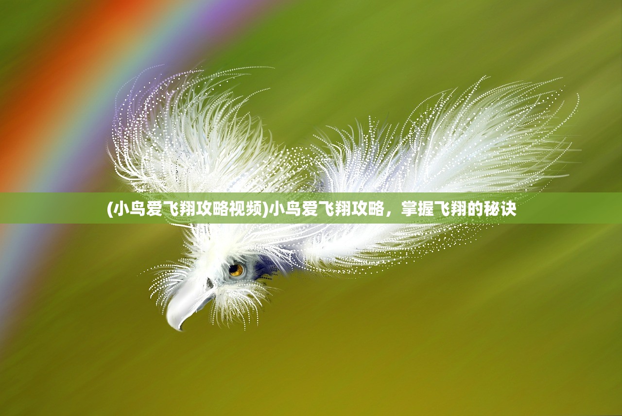 (小鸟爱飞翔攻略视频)小鸟爱飞翔攻略，掌握飞翔的秘诀