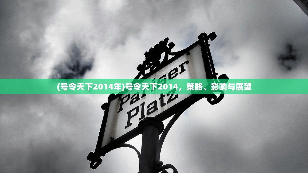 (号令天下2014年)号令天下2014，策略、影响与展望