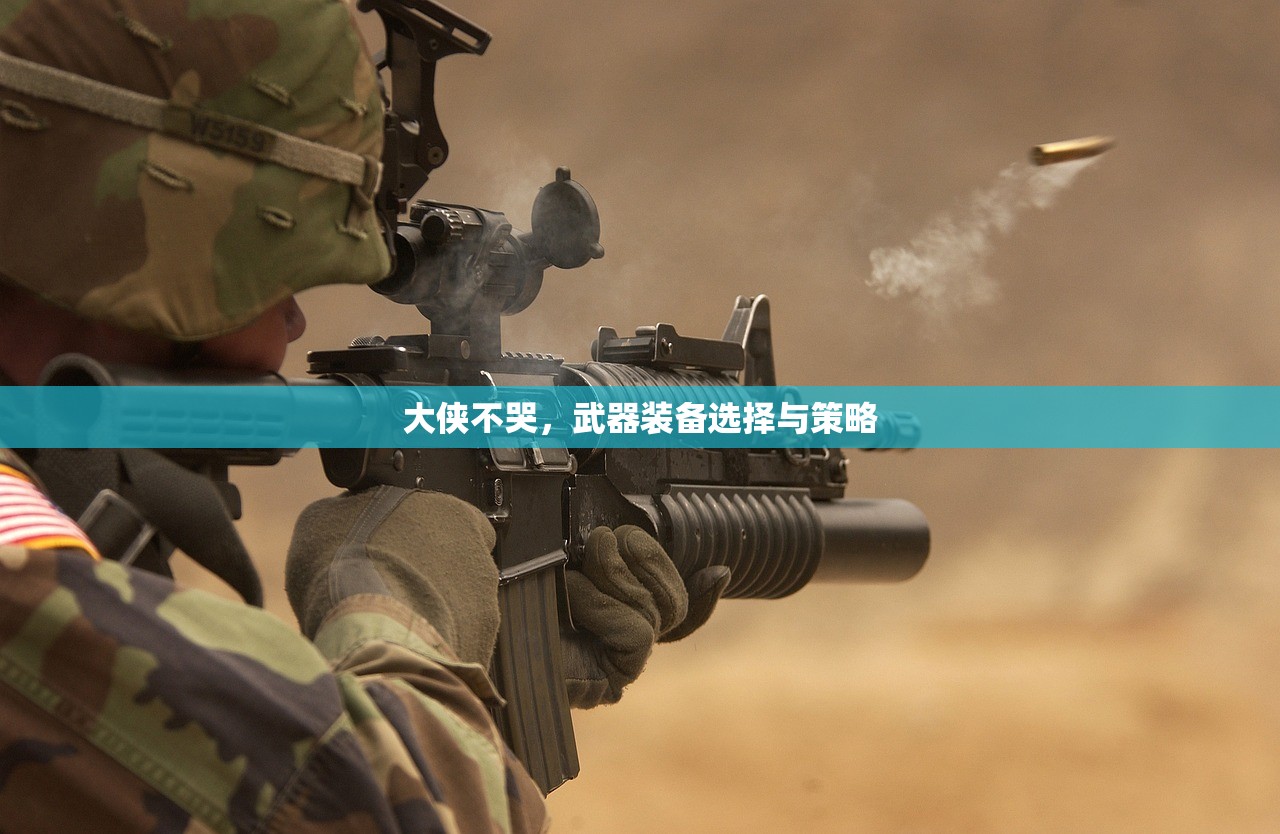 大侠不哭，武器装备选择与策略