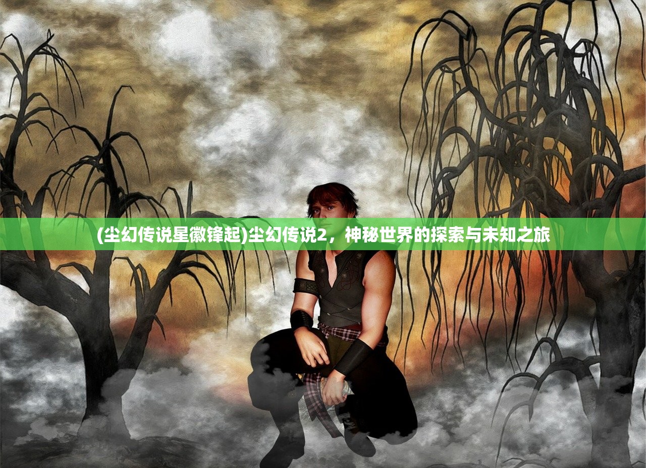 (尘幻传说星徽锋起)尘幻传说2，神秘世界的探索与未知之旅