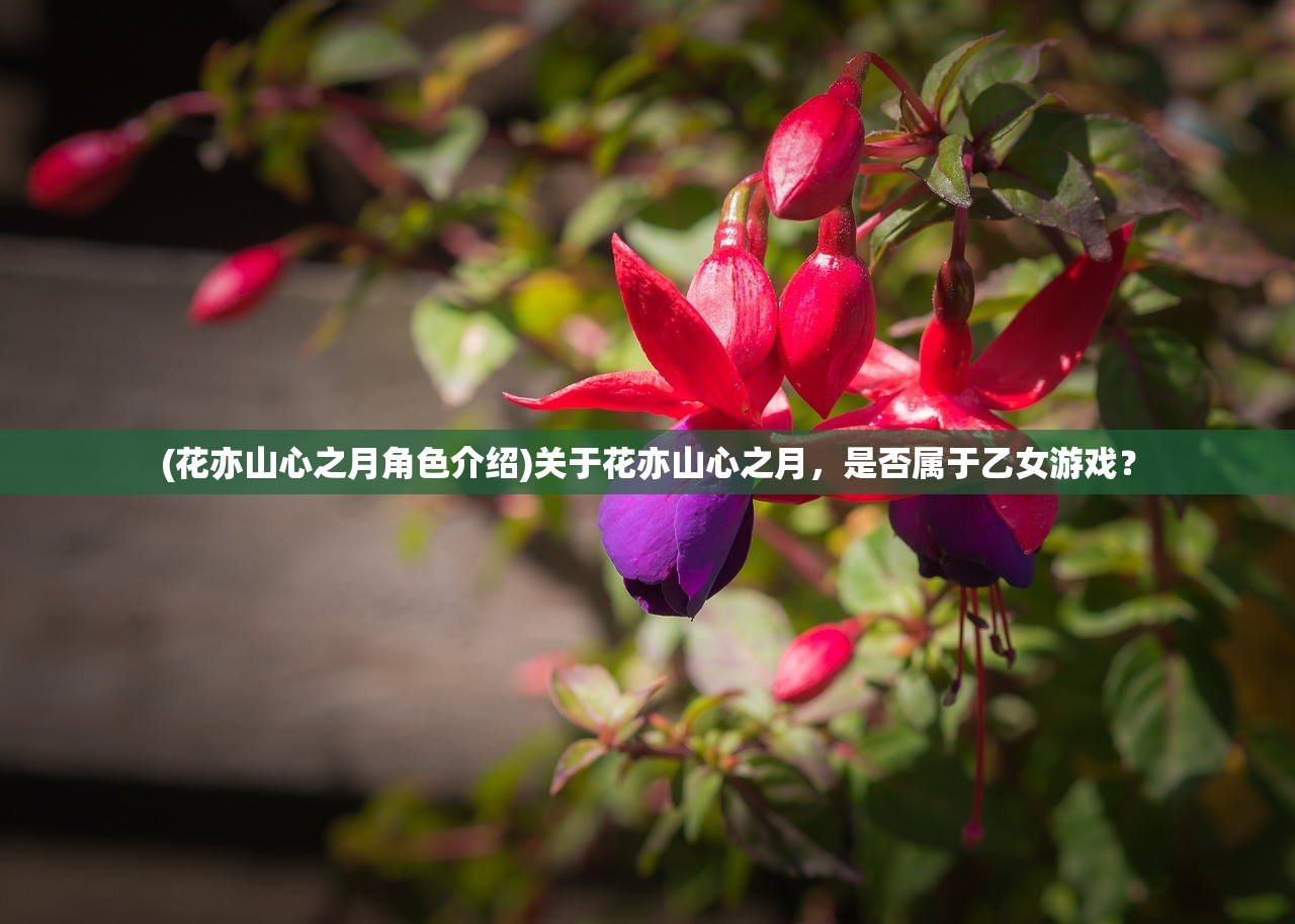 (花亦山心之月角色介绍)关于花亦山心之月，是否属于乙女游戏？