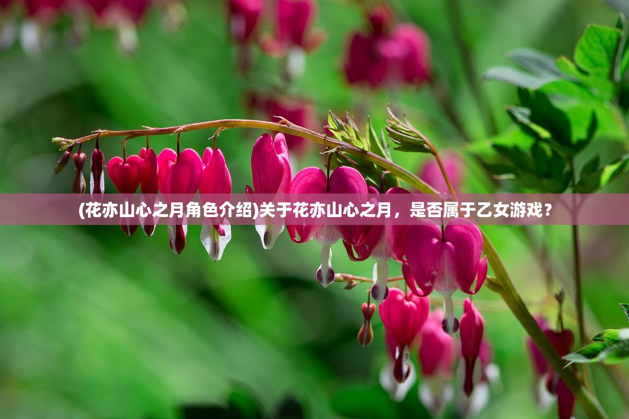 (花亦山心之月角色介绍)关于花亦山心之月，是否属于乙女游戏？