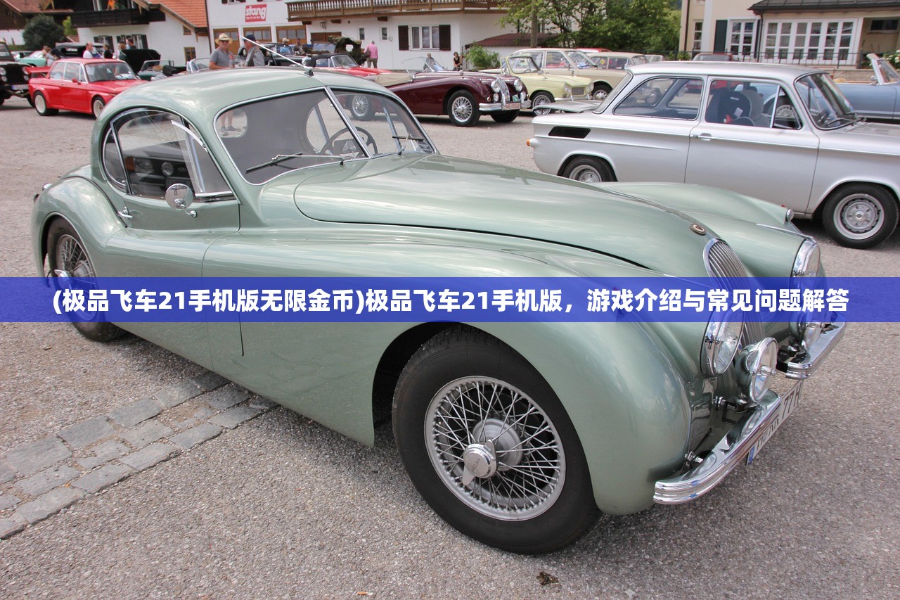(极品飞车21手机版无限金币)极品飞车21手机版，游戏介绍与常见问题解答