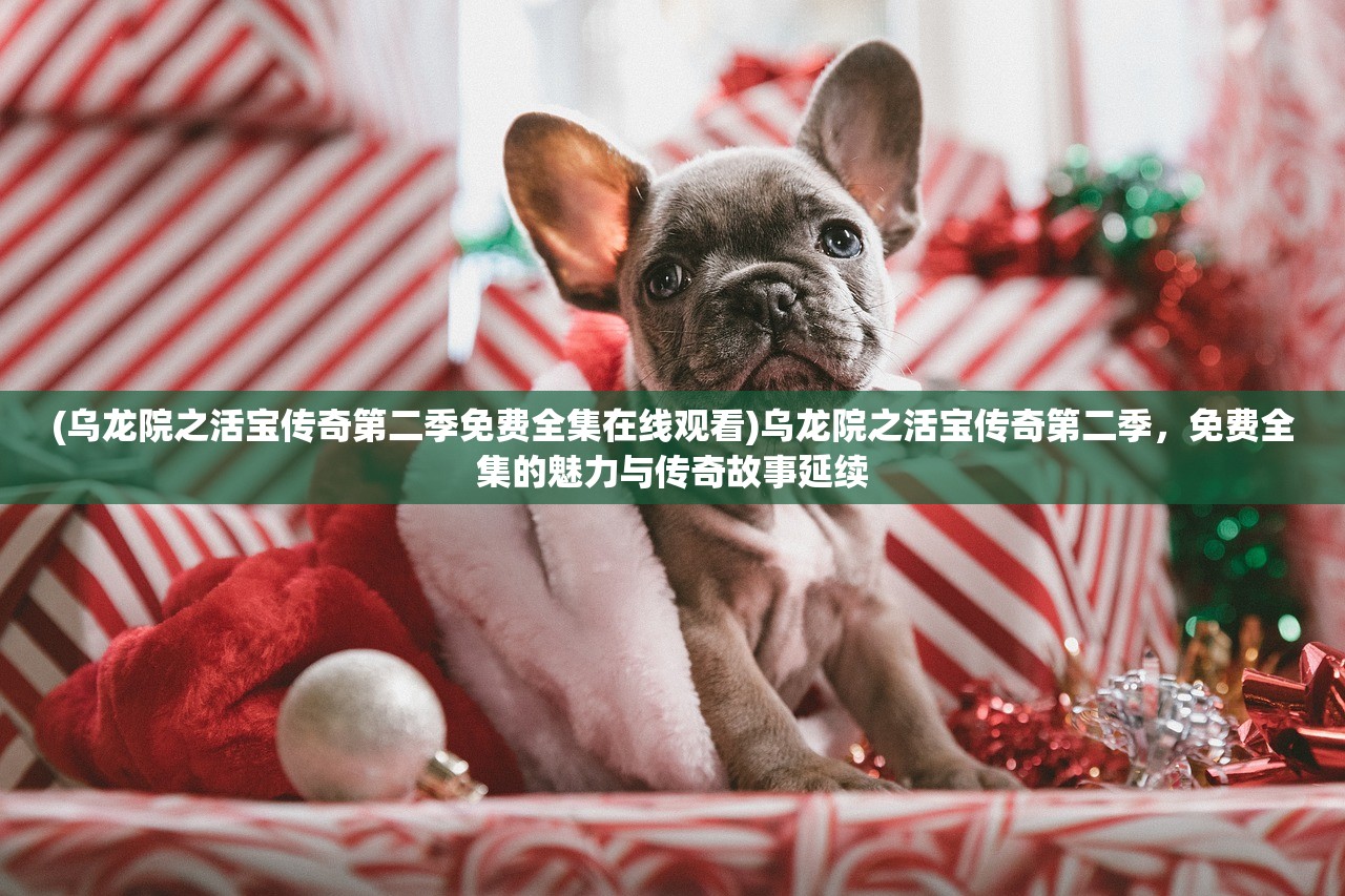 (乌龙院之活宝传奇第二季免费全集在线观看)乌龙院之活宝传奇第二季，免费全集的魅力与传奇故事延续