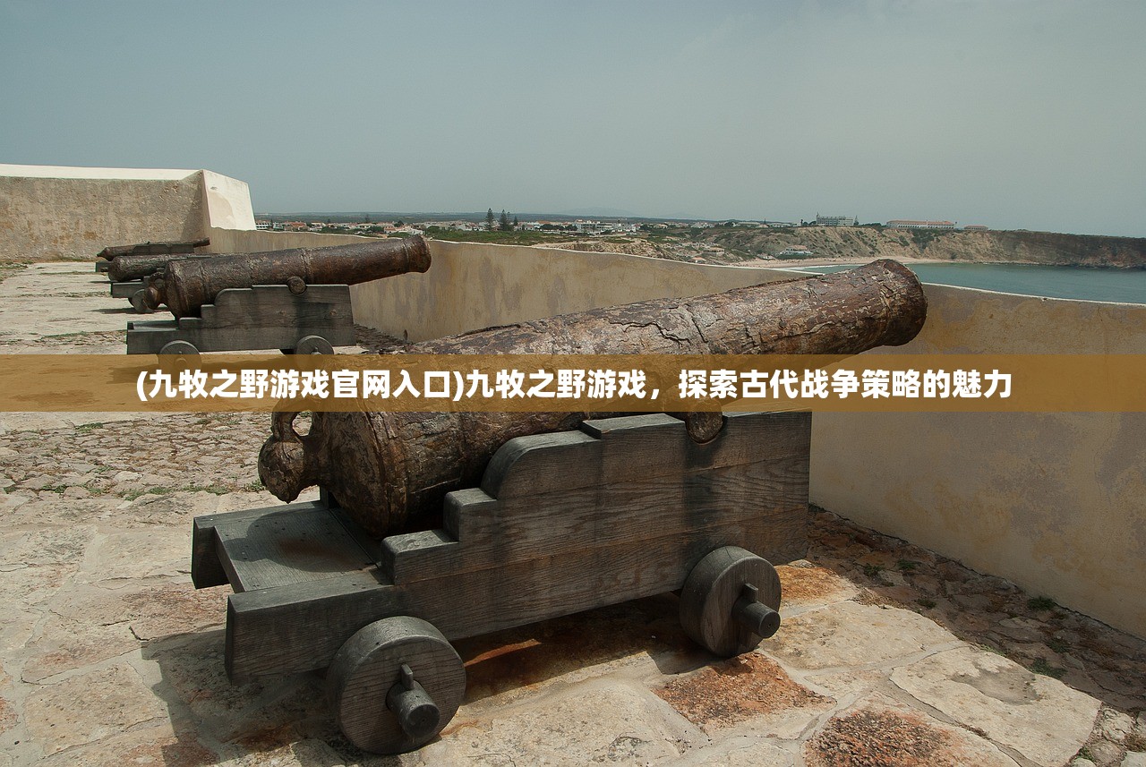 (九牧之野游戏官网入口)九牧之野游戏，探索古代战争策略的魅力