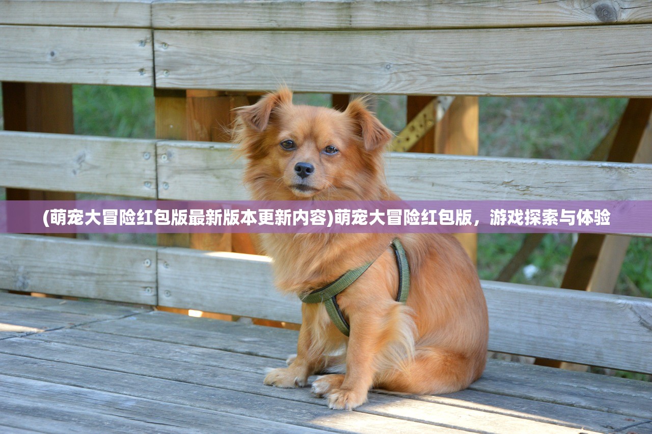 (萌宠大冒险红包版最新版本更新内容)萌宠大冒险红包版，游戏探索与体验