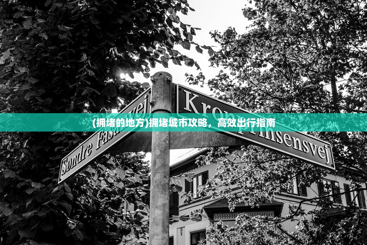 (拥堵的地方)拥堵城市攻略，高效出行指南