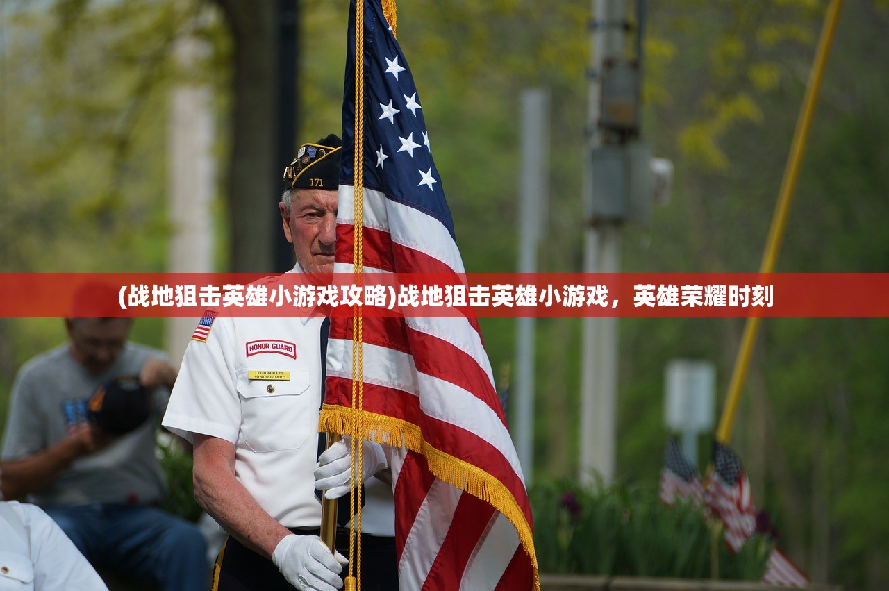 (战地狙击英雄小游戏攻略)战地狙击英雄小游戏，英雄荣耀时刻