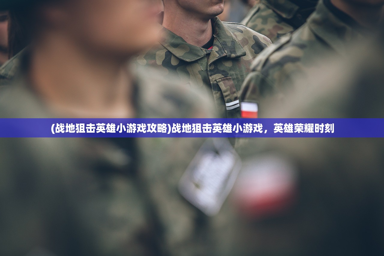 (战地狙击英雄小游戏攻略)战地狙击英雄小游戏，英雄荣耀时刻