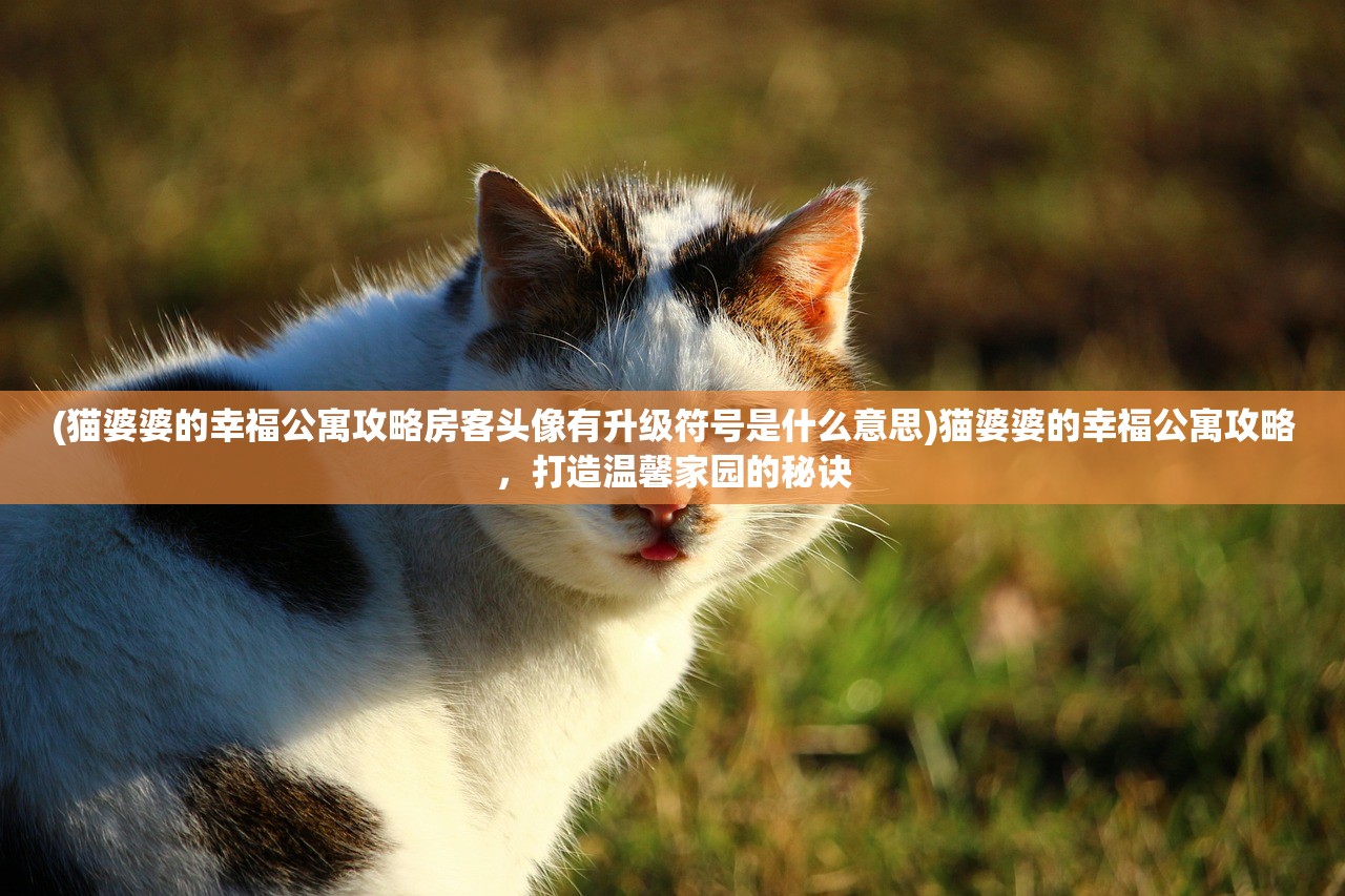 (猫婆婆的幸福公寓攻略房客头像有升级符号是什么意思)猫婆婆的幸福公寓攻略，打造温馨家园的秘诀