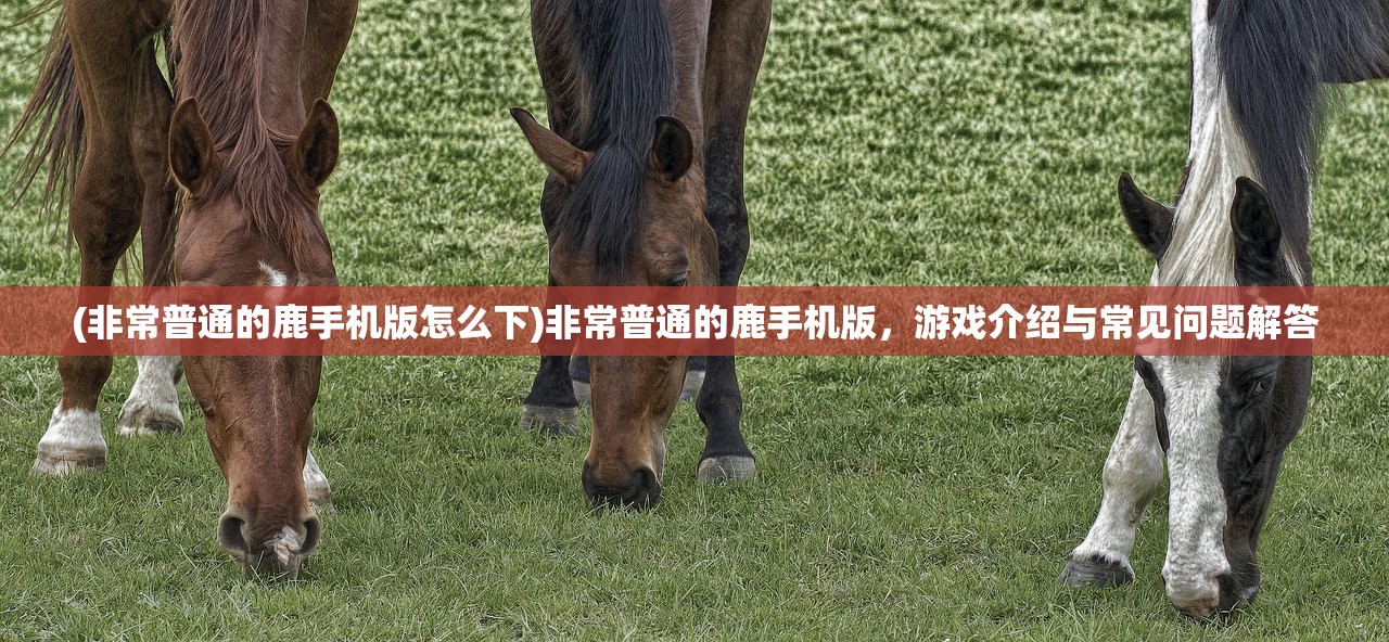 (非常普通的鹿手机版怎么下)非常普通的鹿手机版，游戏介绍与常见问题解答