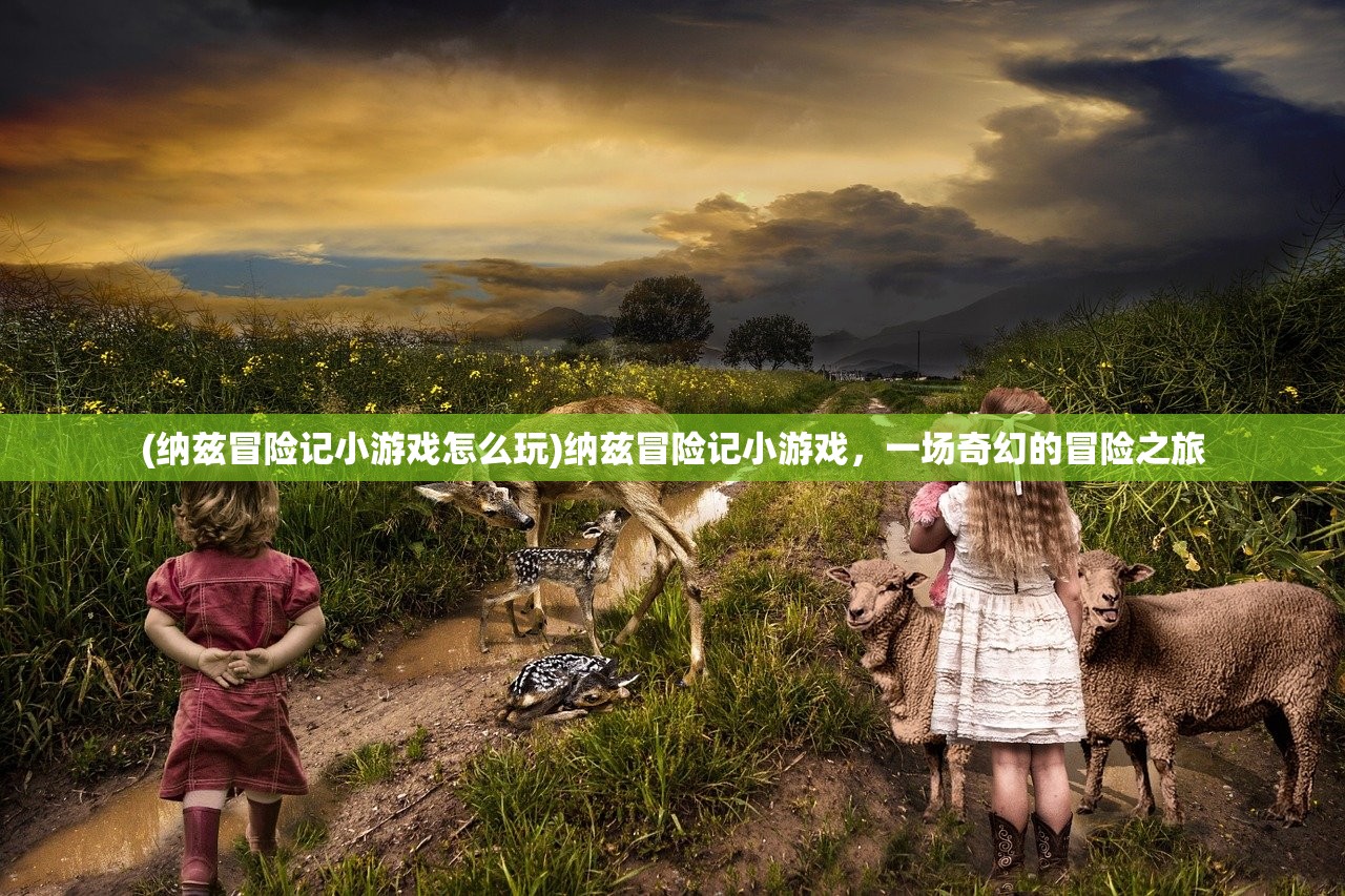 (纳兹冒险记小游戏怎么玩)纳兹冒险记小游戏，一场奇幻的冒险之旅