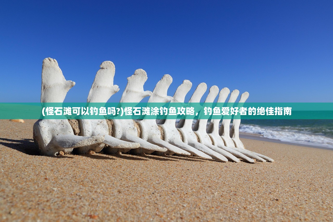 (怪石滩可以钓鱼吗?)怪石滩涂钓鱼攻略，钓鱼爱好者的绝佳指南