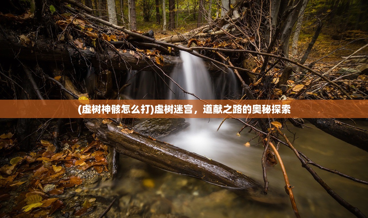 (虚树神骸怎么打)虚树迷宫，道献之路的奥秘探索