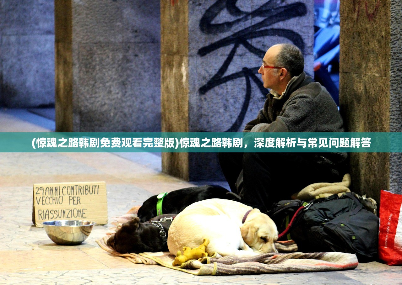 (惊魂之路韩剧免费观看完整版)惊魂之路韩剧，深度解析与常见问题解答