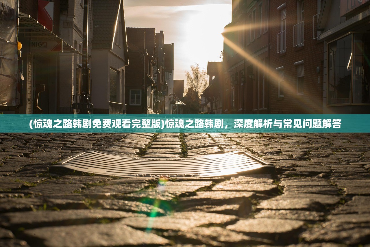 (惊魂之路韩剧免费观看完整版)惊魂之路韩剧，深度解析与常见问题解答