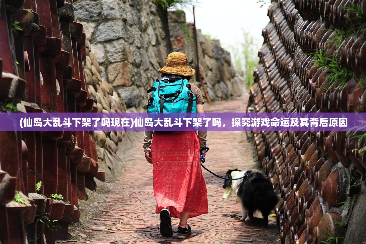 (仙岛大乱斗下架了吗现在)仙岛大乱斗下架了吗，探究游戏命运及其背后原因