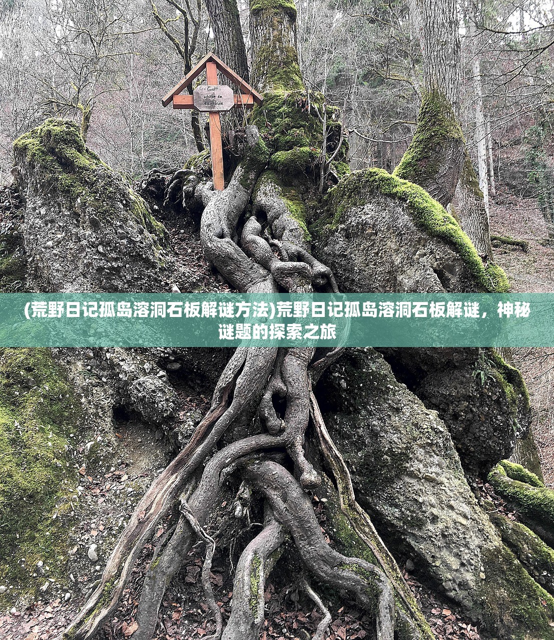 (荒野日记孤岛溶洞石板解谜方法)荒野日记孤岛溶洞石板解谜，神秘谜题的探索之旅