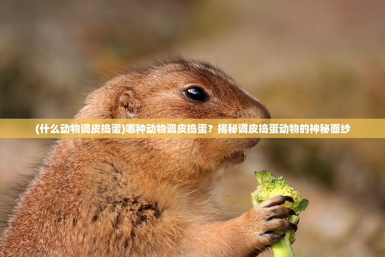 (什么动物调皮捣蛋)哪种动物调皮捣蛋？揭秘调皮捣蛋动物的神秘面纱