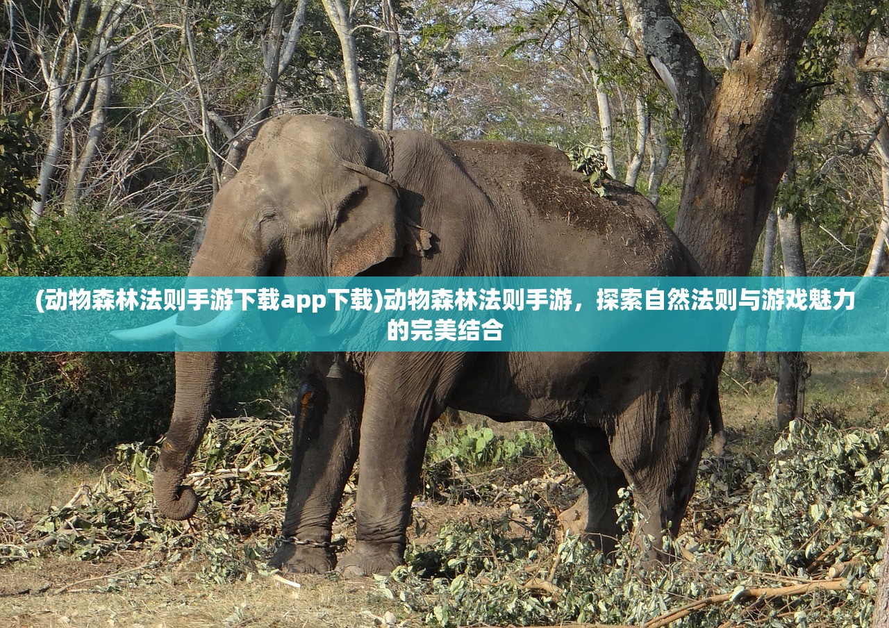 (动物森林法则手游下载app下载)动物森林法则手游，探索自然法则与游戏魅力的完美结合