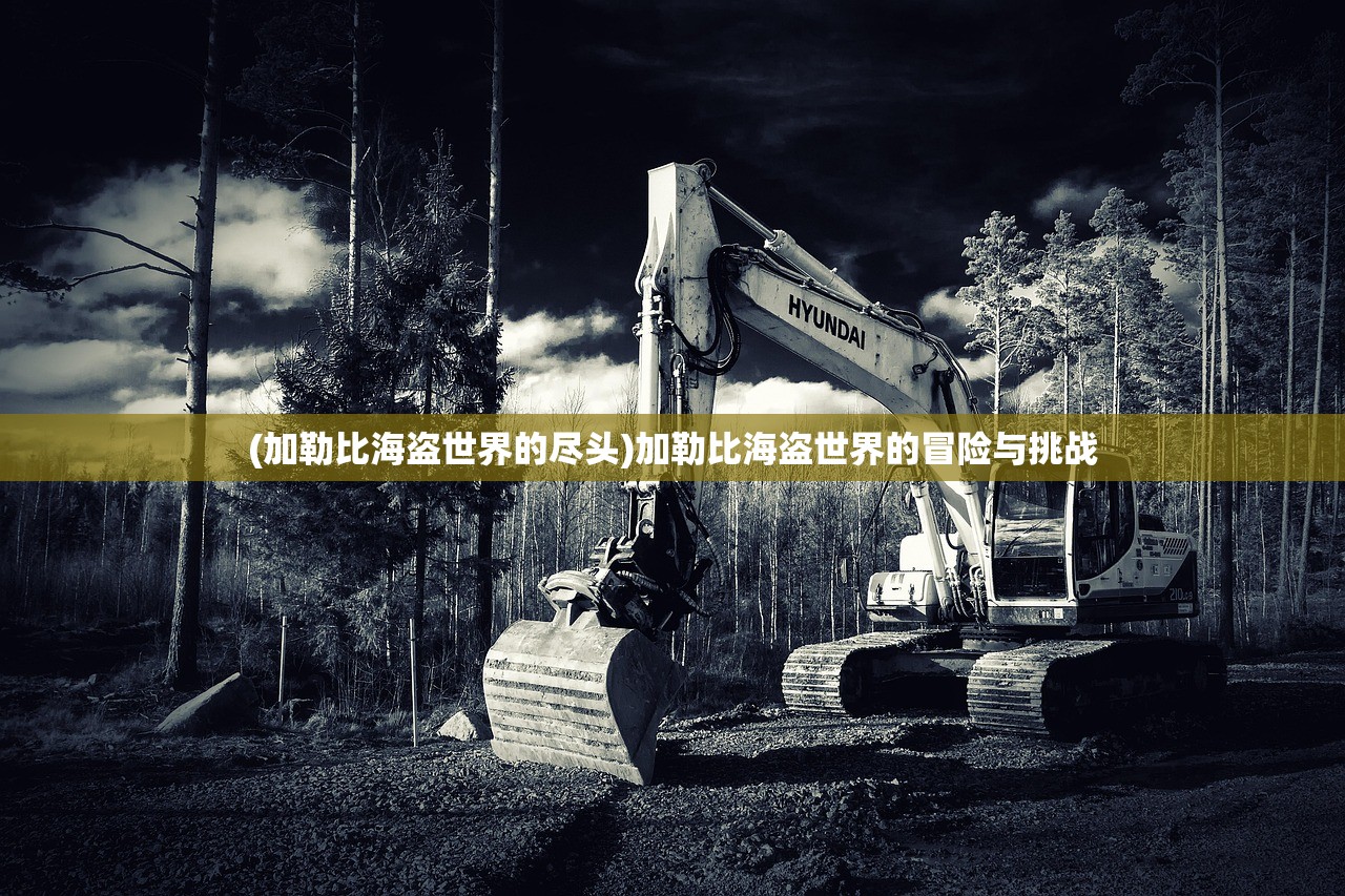 (加勒比海盗世界的尽头)加勒比海盗世界的冒险与挑战