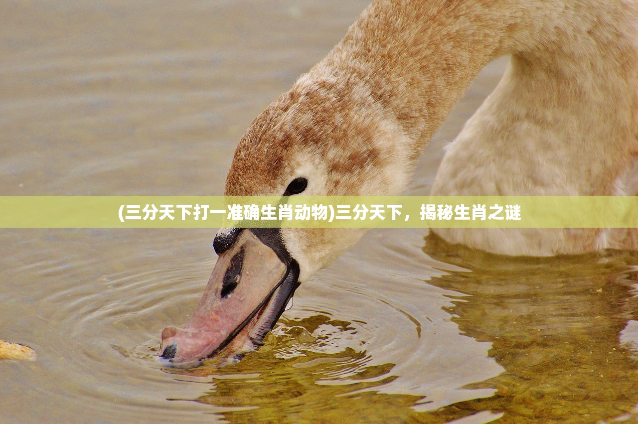 (三分天下打一准确生肖动物)三分天下，揭秘生肖之谜