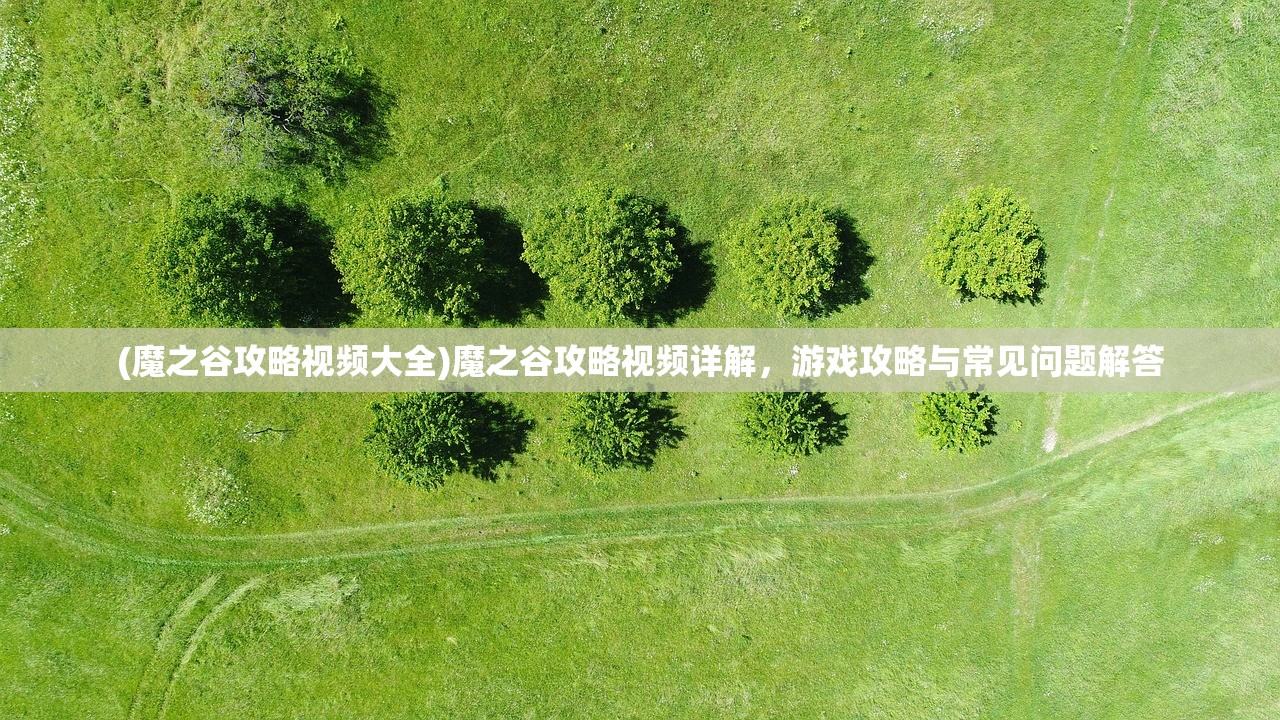 (魔之谷攻略视频大全)魔之谷攻略视频详解，游戏攻略与常见问题解答