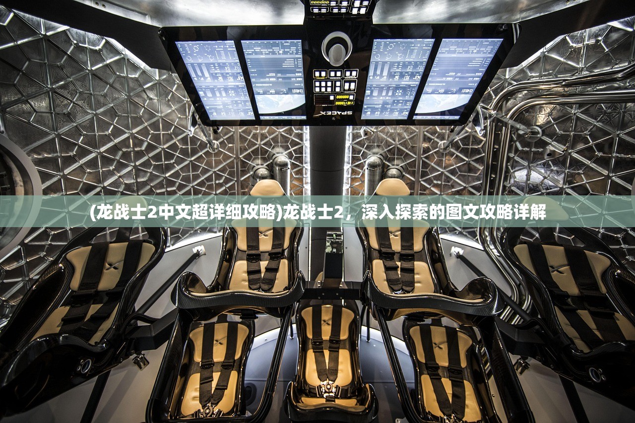 (龙战士2中文超详细攻略)龙战士2，深入探索的图文攻略详解