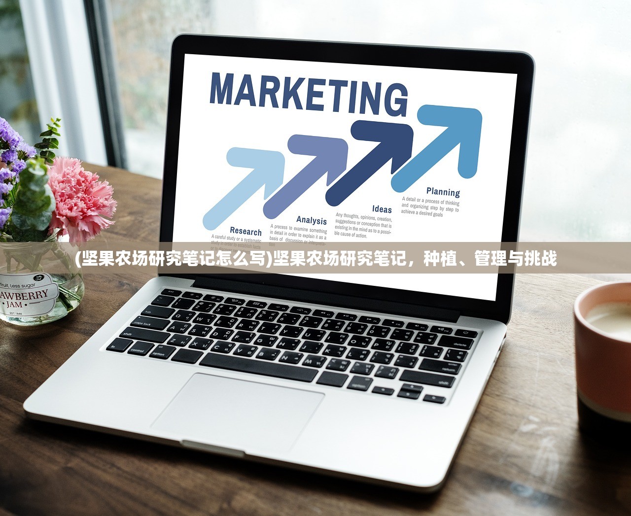 (坚果农场研究笔记怎么写)坚果农场研究笔记，种植、管理与挑战