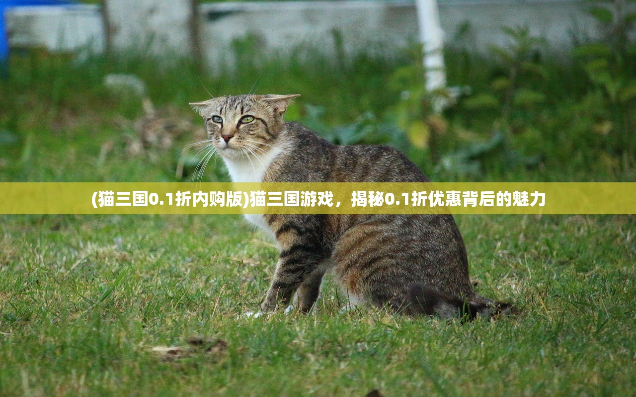 (猫三国0.1折内购版)猫三国游戏，揭秘0.1折优惠背后的魅力